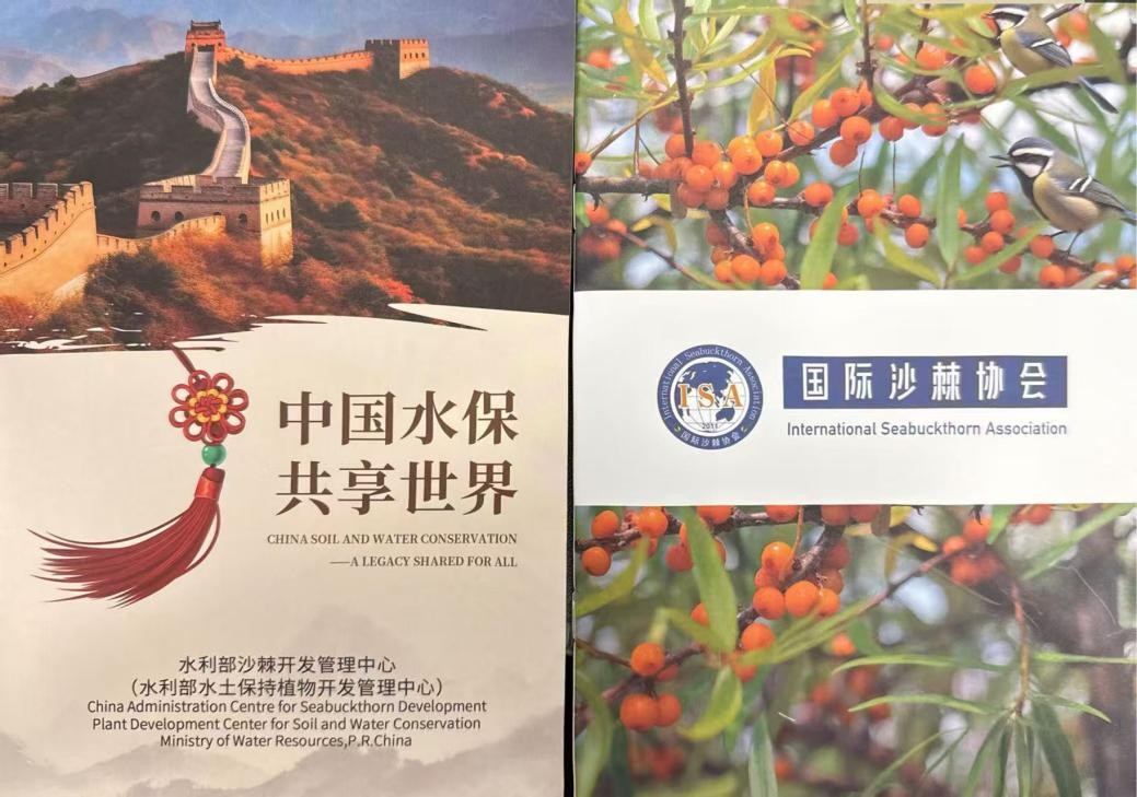 1762216432173742.jpg 4.jpg