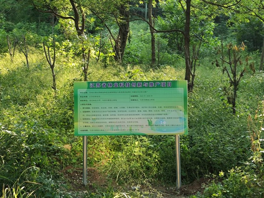 1774835532756699.jpg 图片1.jpg