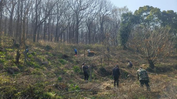 1774835611814870.jpg 图片4.jpg