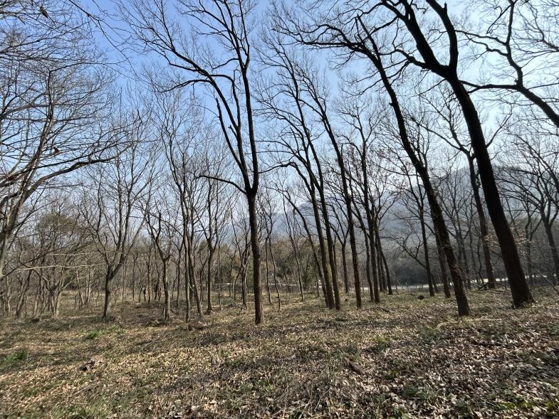 1774836788224115.jpg 图片2.jpg