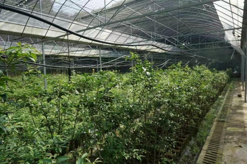 1774836882407636.jpg 图片3.jpg